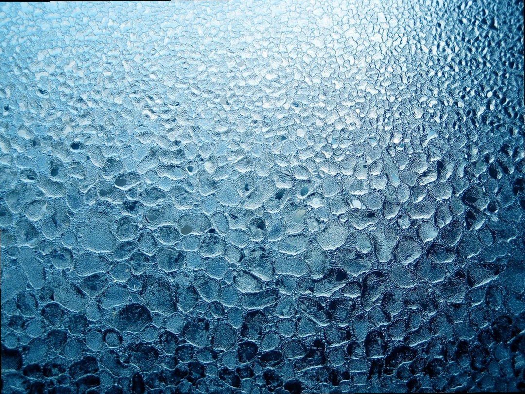 아침에 물 한 컵을 들고 있는 손과 유리잔 — 장 건강 관리