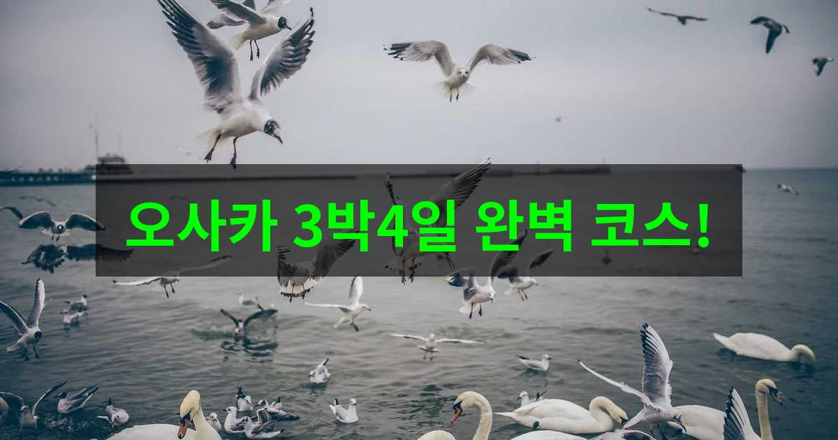 2026 오사카여행 완벽 마스터! 3박4일 알찬 코스 총정리