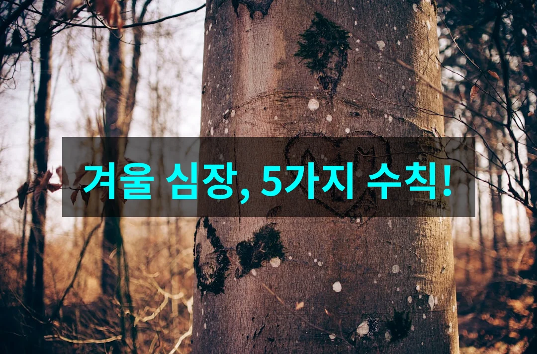 겨울철 심장관리 방법: 혈관 튼튼! 5가지 핵심 수칙으로 건강하게