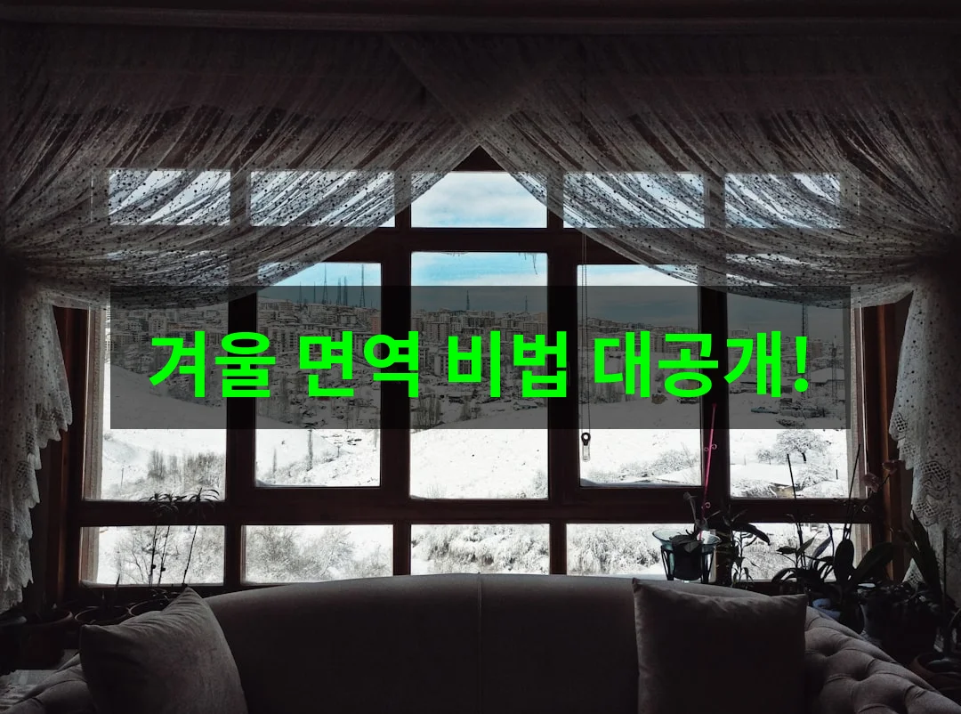 추운 겨울철 면역력 관리 핵심! 감기 걱정 없는 건강 비법