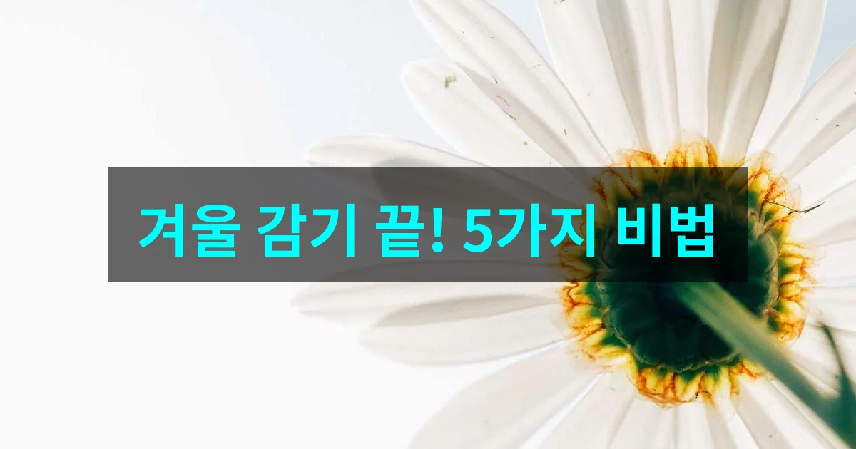 2026 겨울철 면역력관리: 감기 이기는 핵심 비법 5가지