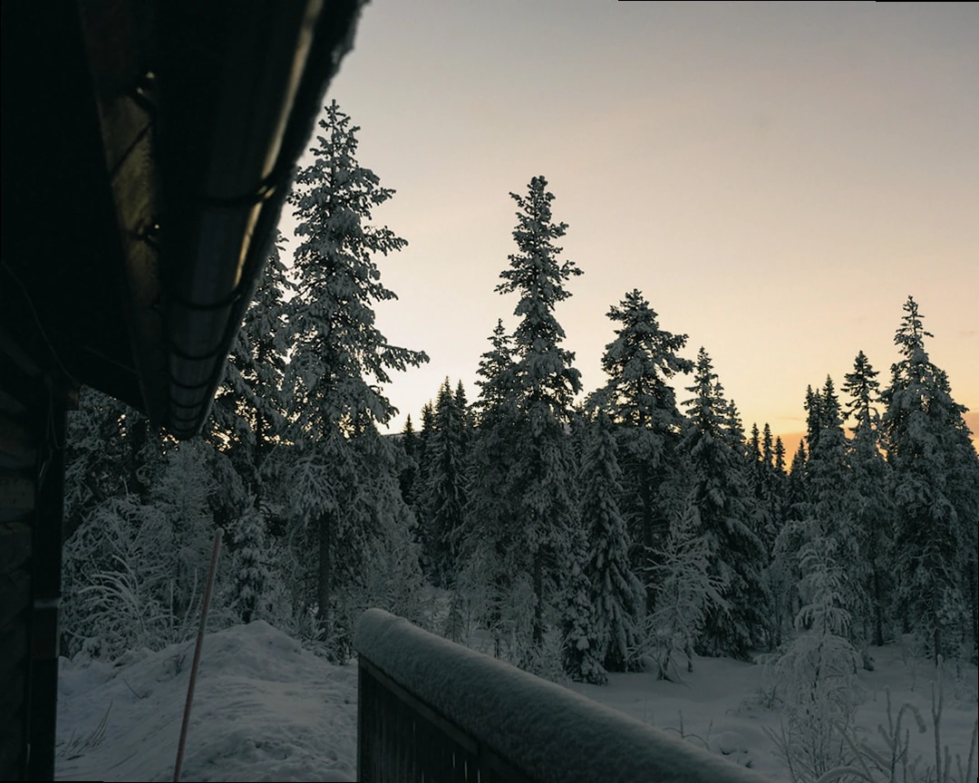 해가 짧아진 겨울날 창밖을 바라보는 사람과 겨울철 수면건강